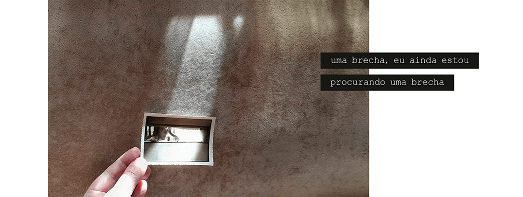 Foto horizontal com fundo bege claro, quase todo na sombra, com uma faixa central e vertical de luz que vem de cima. Essa composição ocupa quase toda a imagem. Na parte de baixo, à esquerda, aparecem dedos segurando uma foto pequena, antiga, em preto e branco. Essa foto é estranha; ela mostra a cabeça, o braço e uma das mãos de uma criança de três anos, que aparecem numa fenda estreita e horizontal de uma parede. A faixa vertical de luz que vem de cima, na foto maior, ilumina a foto menor e a mão com uma luz excessiva, criando um efeito também estranho. Há uma frase em duas faixas pretas que começam na parte direita e ultrapassam a margem da foto maior: uma brecha, eu ainda estou / procurando uma brecha.