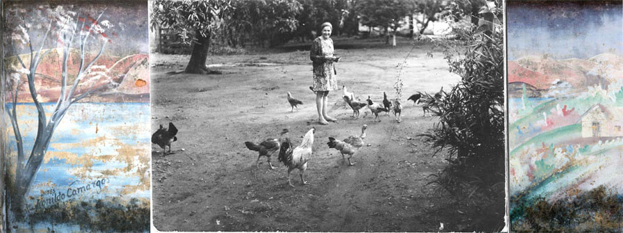 Colagem digital em formato panorâmico. No centro há uma foto horizontal preto e branca de uma mulher dando comida para uma dúzia de galinhas, a cerca de dez metros de distância. Ela olha para a câmera e sorri. Usa vestido, casaco e lenço no cabelo. O chão é de terra clara, há um arbusto escuro à direita e ao longe vê-se várias árvores. Dos dois lados dessa foto há partes de uma outra foto, colorida, mostrando uma pintura naif numa parede manchada de umidade. Do lado esquerdo há uma árvore com flores, um lago azul e morros cor de rosa ao fundo; há também uma assinatura: Artes Ronildo Carmargos. Do lado direito há uma casinha caipira sobre morros verdes, com morros cor de rosa ao fundo e faixas pretas de umidade nas bordas de cima e de baixo.(Esta é a última imagem da série.)