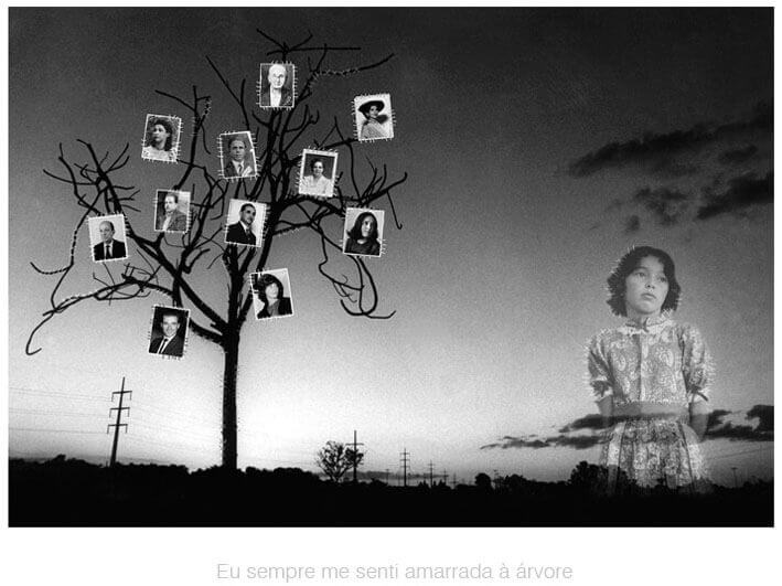 Fotografia horizontal em preto e branco sobre fundo branco. A foto mostra no lado esquerdo uma árvore sem folhas, de galhos curvos e finos, e postes em perspectiva ao longe. A estreita faixa de chão e a árvore estão pretos, e o céu faz um degradê do cinza claro ao preto. Sobre a árvore estão colados onze retratos três por quatro, pequenos, de mulheres e homens de diferentes épocas. No lado direito da foto está colado o retrato de uma menina de dez anos, em transparência e sem o fundo. Ela usa um vestido de festa junina, tem cabelos curtos até abaixo das orelhas, está emburrada e ligeiramente voltada para a direita, com o olhar ao longe. Aparece do meio da saia para cima, transparente sobre o chão preto e uma nuvem escura e fina. Contornando as fotos pequenas e a menina há pequenas linhas desenhadas, que parecem costurar essas imagens à foto maior. Algumas linhas também costuram partes da árvore ao fundo da foto. Embaixo lê-se, em letras cinza claro sobre o fundo branco: Eu sempre me senti amarrada à árvore. (Esta é a última imagem da série.)