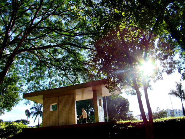 Foto horizontal mostrando uma parada de ônibus de Brasília, de concreto e linhas retas, no estilo modernista. Ela está enquadrada de baixo e aparede na metade de baixo, a meia distância, e há um homem passando atrás. A metade de cima da imagem está toda ocupada pela copa de grandes árvores. À esquerda o sol baixo, na contraluz, faz uma mancha branca em forma de estrela. No pé da foto, em toda a extensão, há uma faixa escura de um barranco gramado.